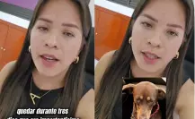 VIDEO | Tiktoker denuncia a clínica veterinaria en CDMX por perder a perrita rescatada