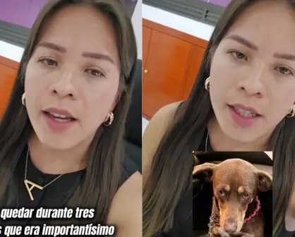 VIDEO | Tiktoker denuncia a clínica veterinaria en CDMX por perder a perrita rescatada