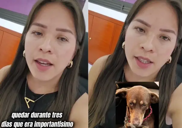 VIDEO | Tiktoker denuncia a clínica veterinaria en CDMX por perder a perrita rescatada