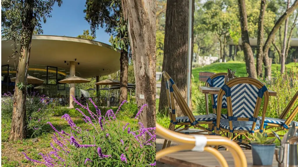 Proscenio Café: descubre el restaurante de CDMX que está dentro de un jardín de ensueño
