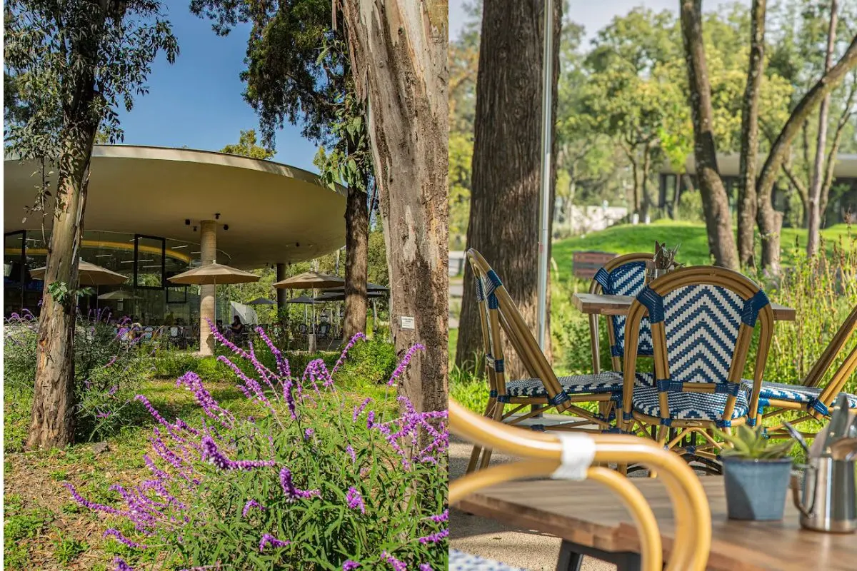 Proscenio Café en el Jardín Escénico en Chapultepec. Foto: Proscenio Café | Canva