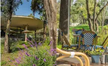 Proscenio Café: descubre el restaurante de CDMX que está dentro de un jardín de ensueño