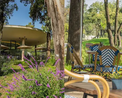 Proscenio Café: descubre el restaurante de CDMX que está dentro de un jardín de ensueño