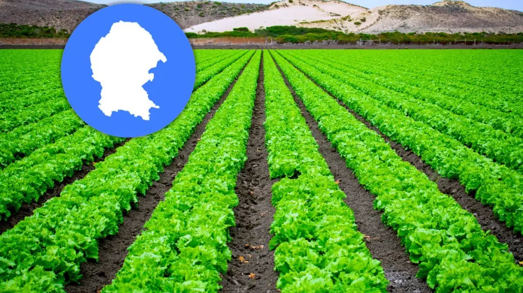 ¿Qué frutas exporta Coahuila y en qué regiones se producen?