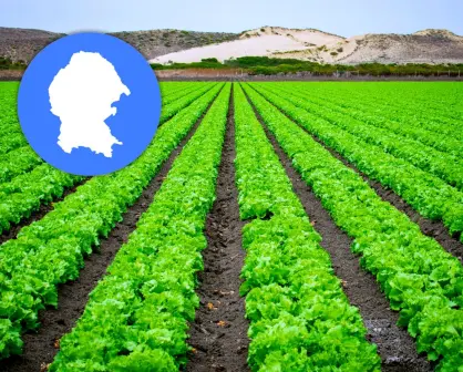 ¿Qué frutas exporta Coahuila y en qué regiones se producen?