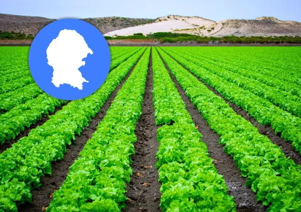 ¿Qué frutas exporta Coahuila y en qué regiones se producen?