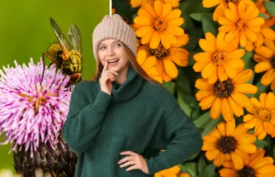 ¿Sabías que estas flores ayudan a repeler insectos de forma natural?