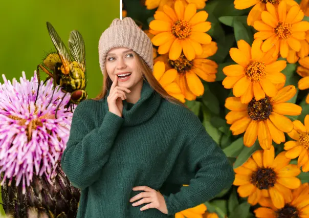 ¿Sabías que estas flores ayudan a repeler insectos de forma natural?