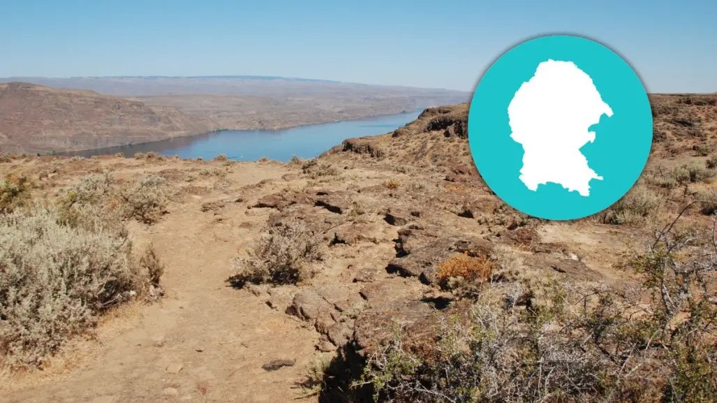 Más del 50% de Coahuila sufre sequía
