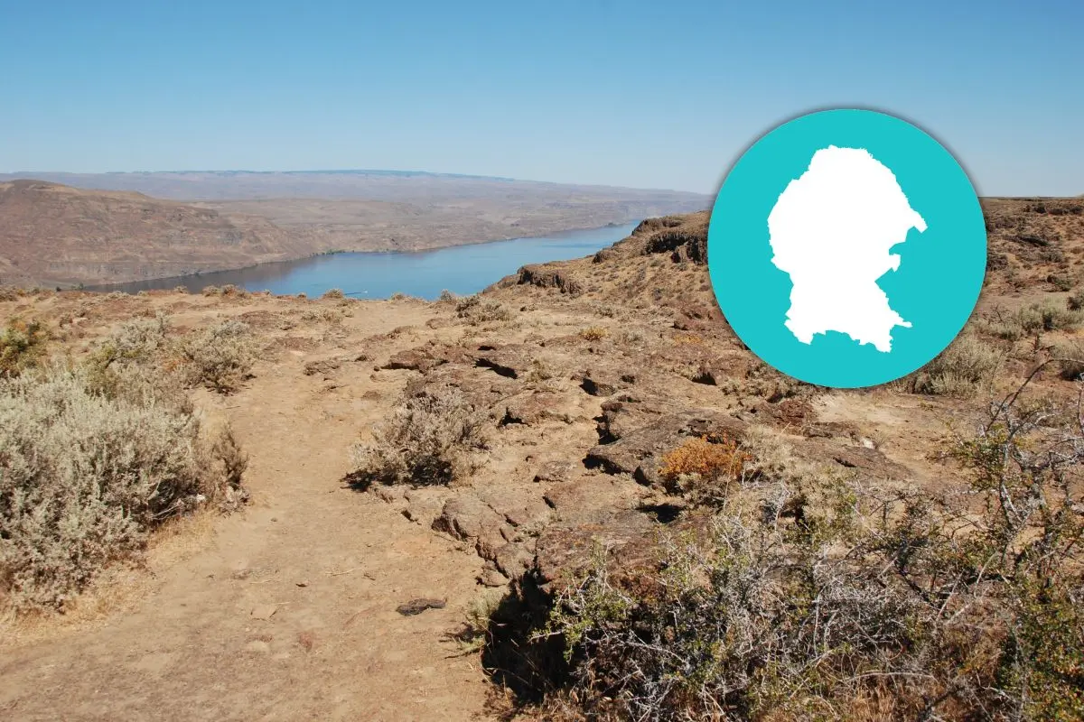 Sequía en Coahuila. Foto de canva.
