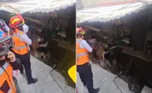 FOTOS | Socavón en Gustavo A. Madero deja a comerciantes sin mercancía y a una familia desalojada