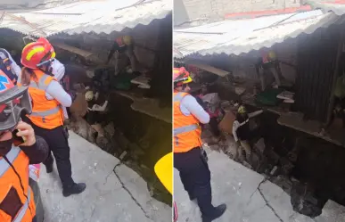 FOTOS | Socavón en Gustavo A. Madero deja a comerciantes sin mercancía y a una familia desalojada