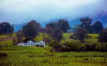 El municipio de Durango que surgió por la migración al bosque de un grupo de mineros