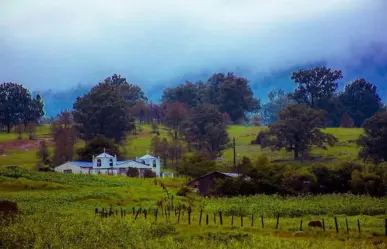 El municipio de Durango que surgió por la migración al bosque de un grupo de mineros