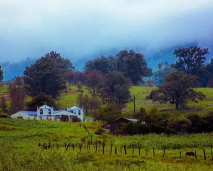 El municipio de Durango que surgió por la migración al bosque de un grupo de mineros