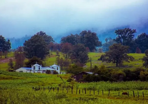 El municipio de Durango que surgió por la migración al bosque de un grupo de mineros