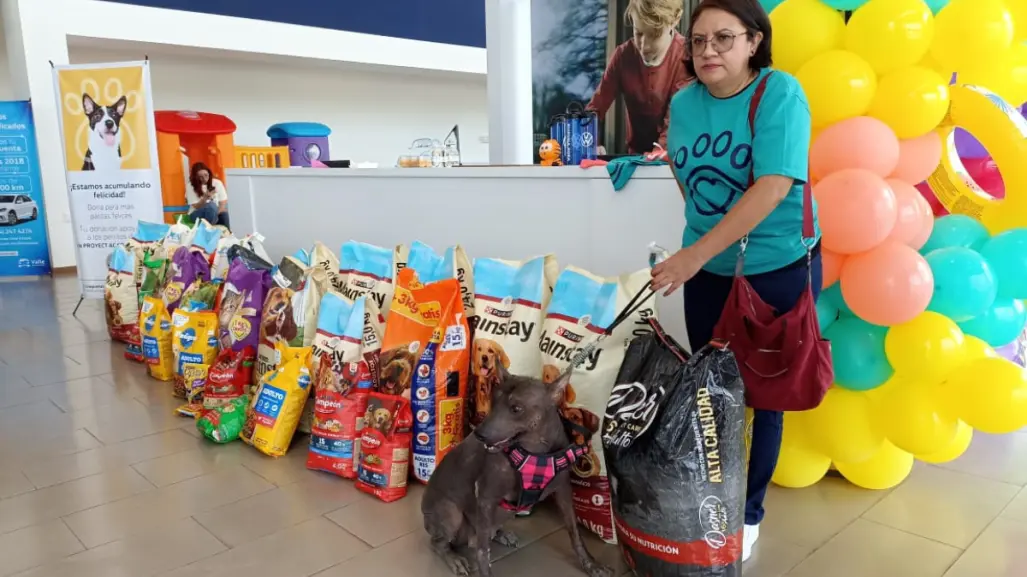 Esta agencia de carros de Ciudad Victoria apoyó a animalitos de refugio animal