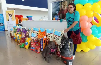 Esta agencia de carros de Ciudad Victoria apoyó a animalitos de refugio animal