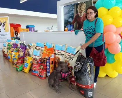 Esta agencia de carros de Ciudad Victoria apoyó a animalitos de refugio animal