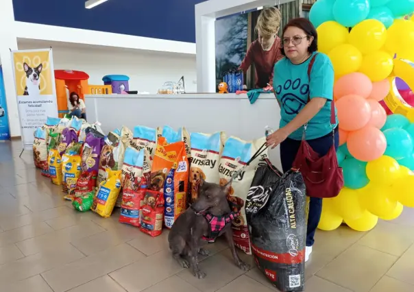 Esta agencia de carros de Ciudad Victoria apoyó a animalitos de refugio animal