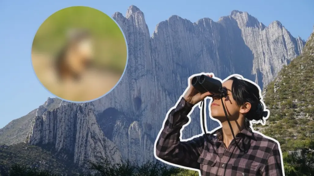 Así es como este animal nativo de Nuevo León puede sobrevivir en los matorrales