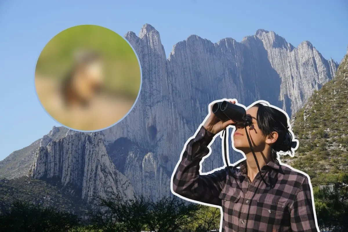 Su presencia indica la buena salud del ecosistema. Foto: CANVA / Animalia