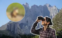 Así es como este animal nativo de Nuevo León puede sobrevivir en los matorrales