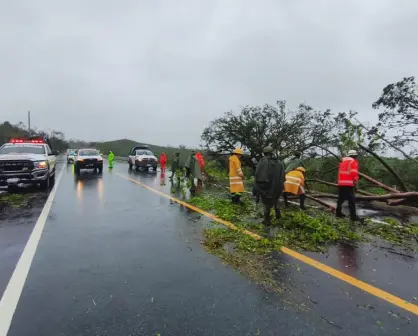 El ciclón Gil podría formarse el miércoles en el Pacífico: esta es su trayectoria y velocidad