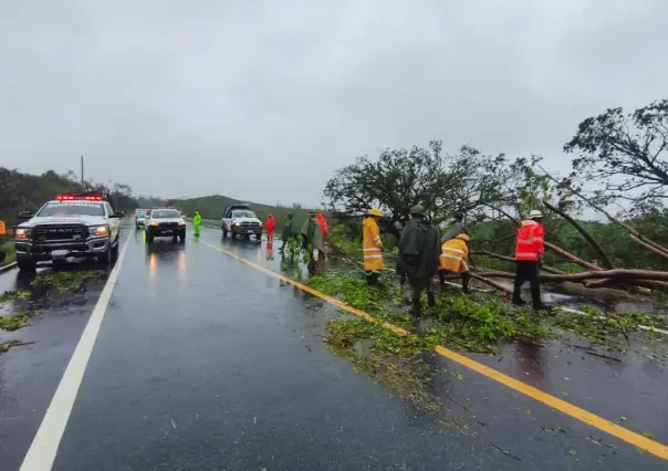 El ciclón Gil podría formarse el miércoles en el Pacífico: esta es su trayectoria y velocidad