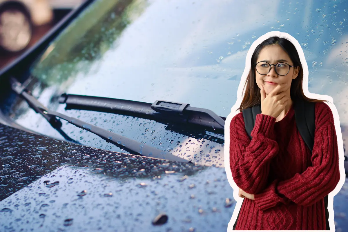Ayer sorprendió la lluvia en San Luis Gonzaga, municipio de Comondú; según el pronóstico del clima de la Conagua, es probable que hoy regresen las lluvias. Fotos Ilustrativas: Canva.