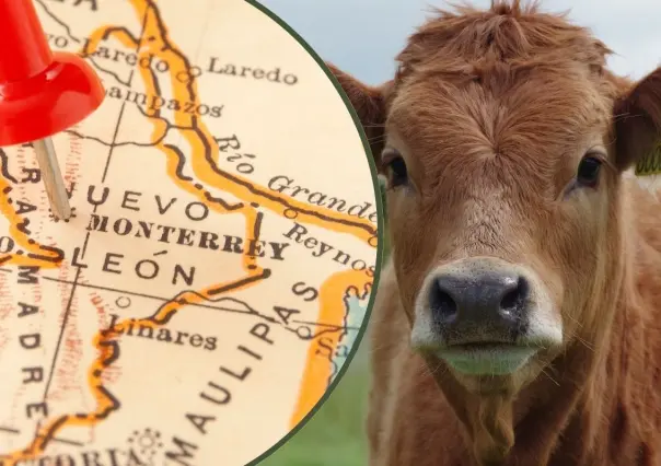 Conoce cuál es el municipio de Nuevo León que se destaca en la ganadería