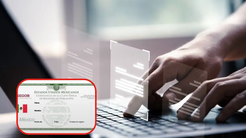 Documentos oficiales, ¿dónde conseguir tu CURP en Tamaulipas?