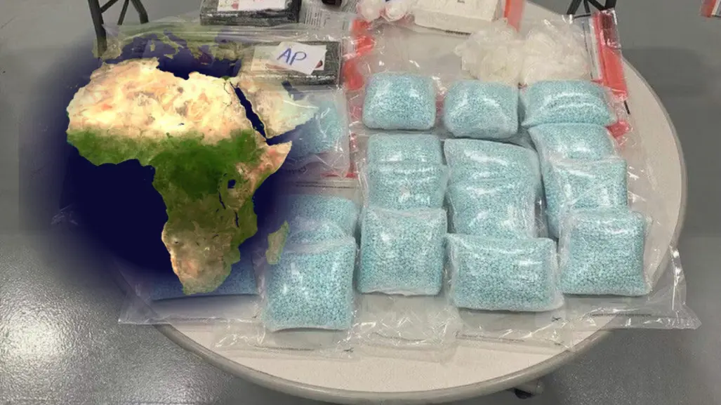 EU reporta presencia de cárteles mexicanos en países de África