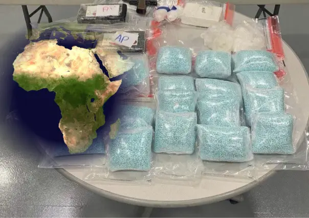 EU reporta presencia de cárteles mexicanos en países de África