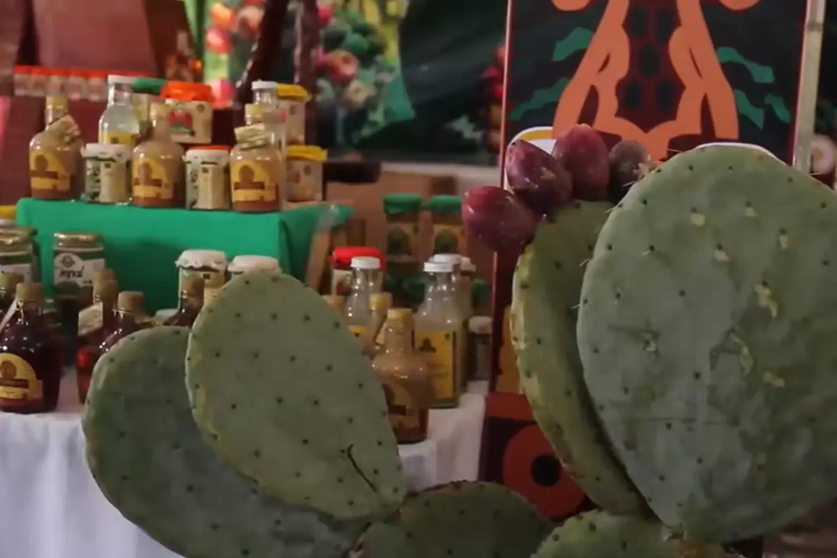 La Feria Internacional de la Tuna ofrece música, deporte y comida  en los primeros días de agosto de 2025. Foto:  Captura de pantalla FB Nelly Carrasco Godínez
