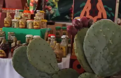 Feria Internacional de la Tuna: Entre música, deporte y comida ¿dónde y cuándo?