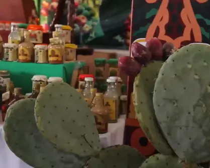 Feria Internacional de la Tuna: Entre música, deporte y comida ¿dónde y cuándo?