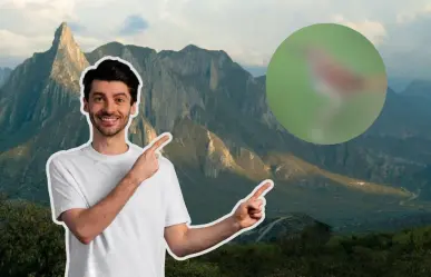 ¿Has escuchado el canto de este animal nativo de Nuevo León? Se destaca entre el monte