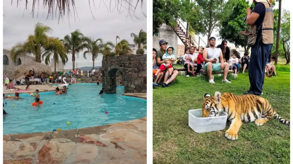 Hidalgo: Escapa del calor y convive con animales salvajes por solo 150 pesos