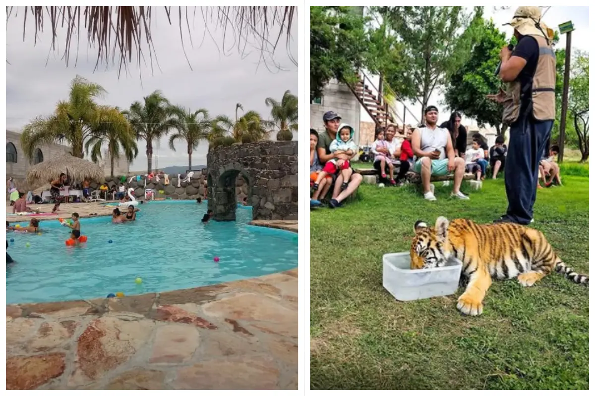 En Hidalgo hay un sitio para escapar del calor y convivir con animales salvajes por solo 150 pesos. Foto: FB Taxidho Bioparque
