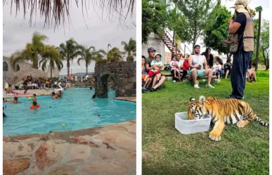 Hidalgo: Escapa del calor y convive con animales salvajes por solo 150 pesos