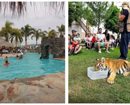 Hidalgo: Escapa del calor y convive con animales salvajes por solo 150 pesos