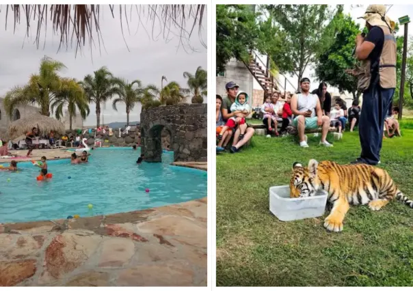Hidalgo: Escapa del calor y convive con animales salvajes por solo 150 pesos