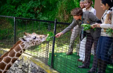 Este oculto parque ecológico del Edomex tiene nueva jirafa y puedes verla convivir con más especies