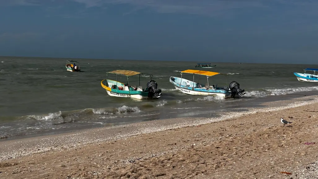 Pesca furtiva en Yucatán: trabajan en reformas legales y acciones conjuntas para combatirla