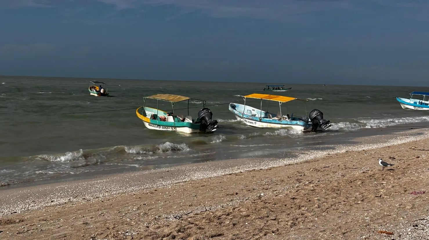 ¿Los pescadores son los únicos culpables de la pesca furtiva?. Foto: Alejandra Vargas
