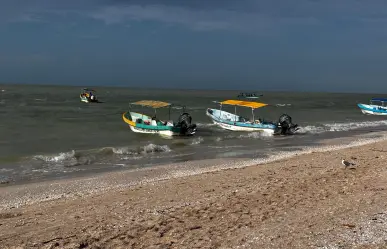 Pesca furtiva en Yucatán: trabajan en reformas legales y acciones conjuntas para combatirla
