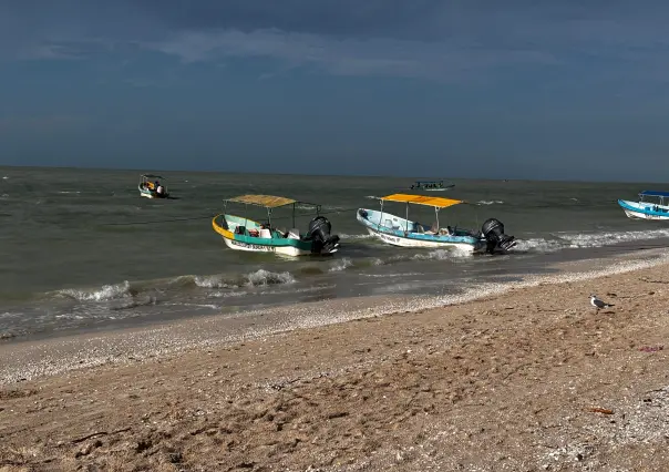 Pesca furtiva en Yucatán: trabajan en reformas legales y acciones conjuntas para combatirla