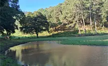 Esta ruta de senderismo es ideal para convivir en familia durante estas vacaciones en Victoria Esta ruta de senderismo es ideal para convivir en familia durante estas vacaciones en Victoria