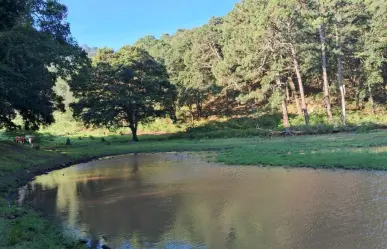 Esta ruta de senderismo es ideal para convivir en familia durante estas vacaciones en Victoria